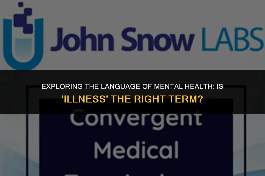 is the term mental illness politically correct