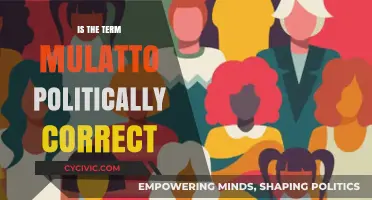 Exploring the Sensitivity: Is 'Mulatto' a Politically Correct Term?