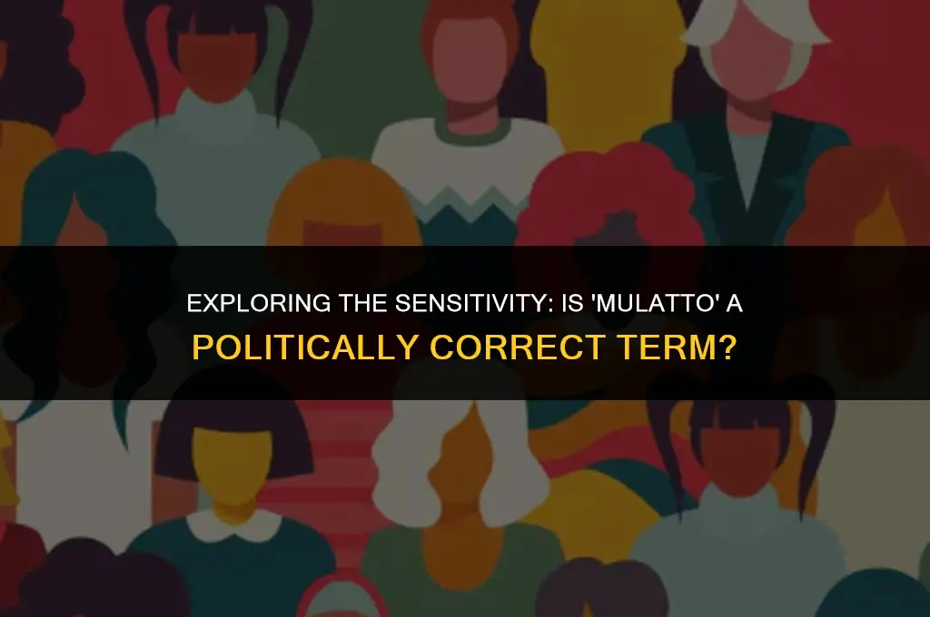 is the term mulatto politically correct