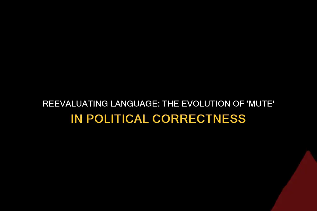 is the term mute politically correct