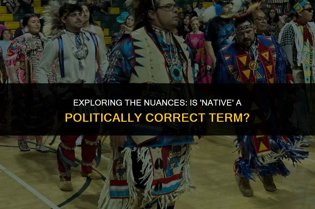 is the term native politically correct