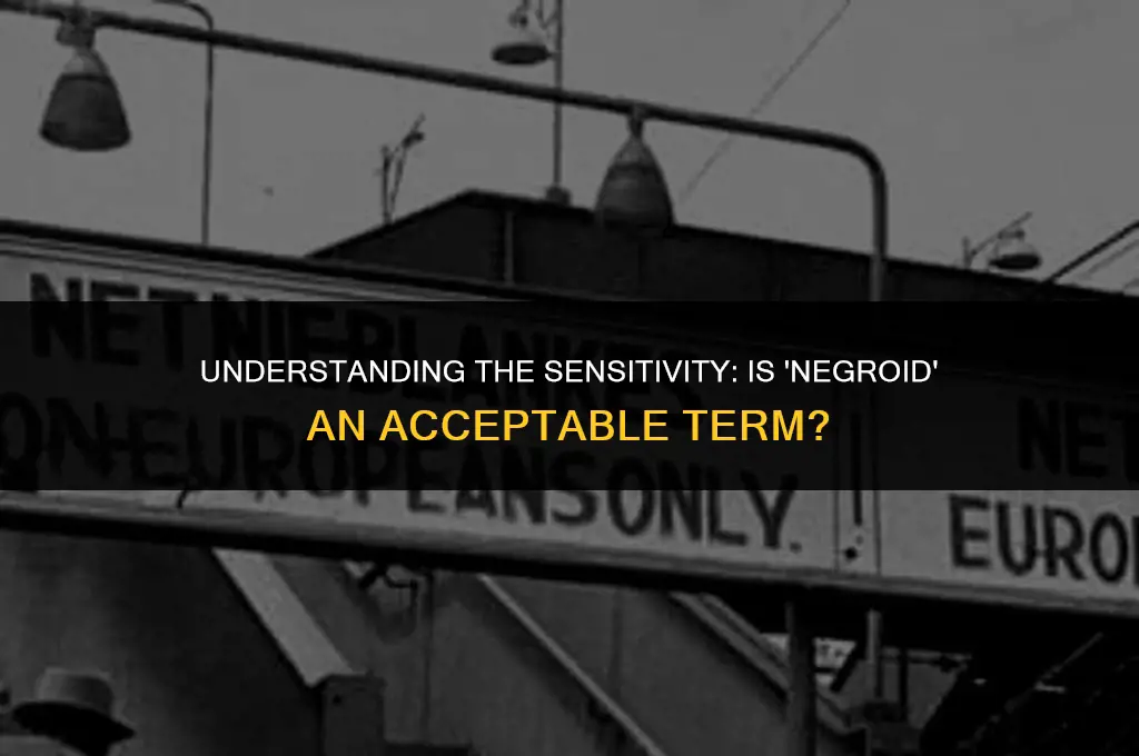 is the term negroid politically correct