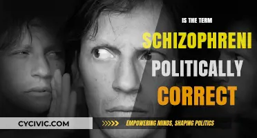 Evolving Language: The Shift from 'Schizophrenic' to 'Person with Schizophrenia
