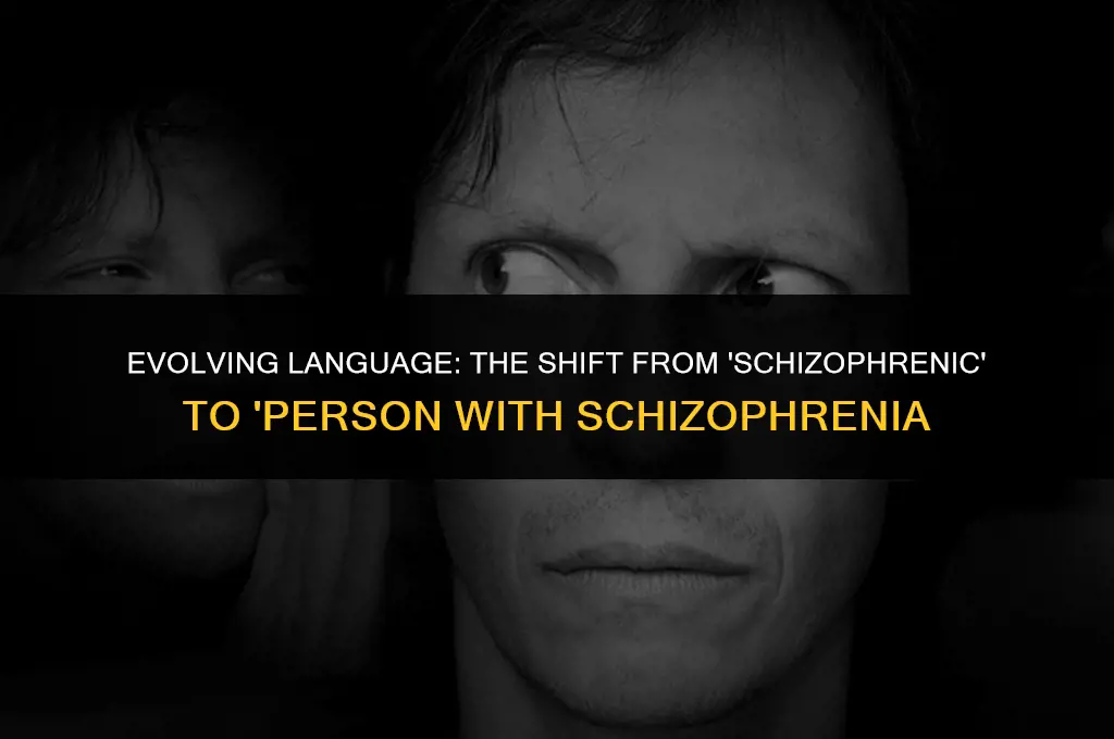 is the term schizophrenic politically correct