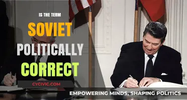 Soviet" or "Post-Soviet"? Navigating Political Correctness in Modern Discours