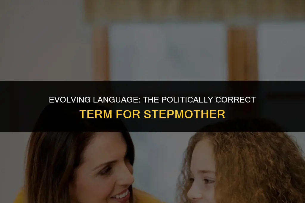 is the term stepmoms politically correct