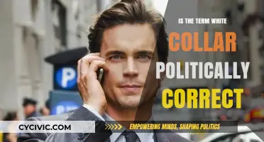 Reevaluating 'White Collar': A Discussion on Political Correctness in the Workplace