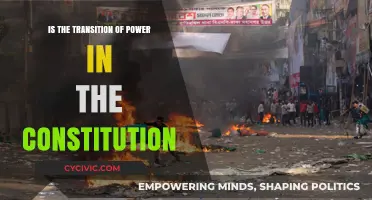 The Power Transition: A Constitutional Guide