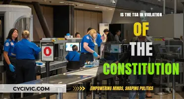 TSA: Constitutional Violators or Security Providers?