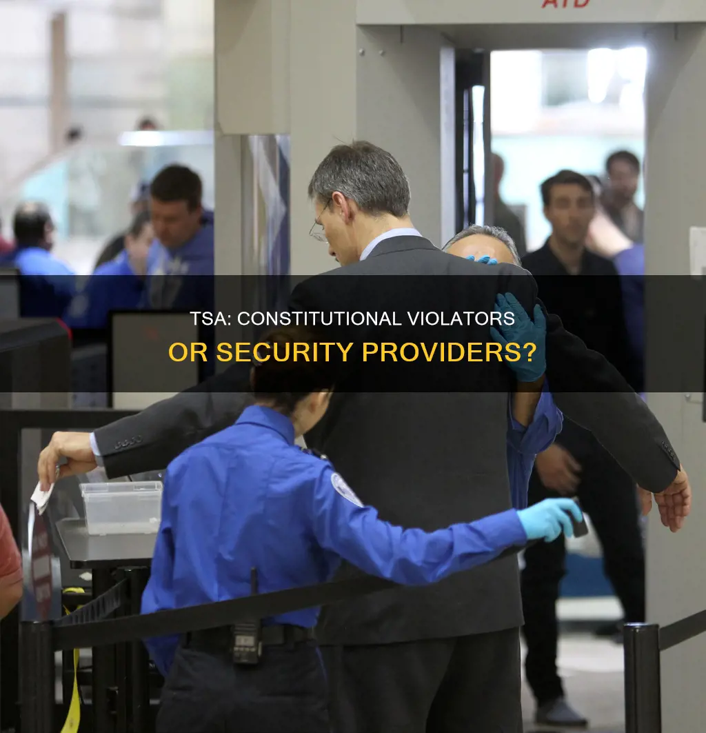 is the tsa in violation of the constitution