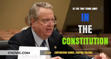 The Two-Term Limit: A Constitutional Debate