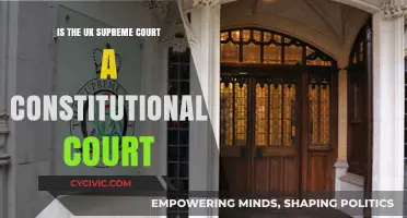 Supreme Court's Constitutional Role: UK's Highest Court?