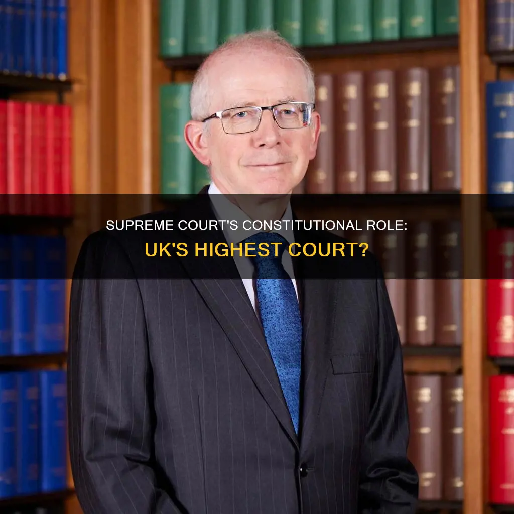 is the uk supreme court a constitutional court
