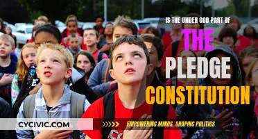 Pledge of Allegiance: Is 'Under God' Unconstitutional?