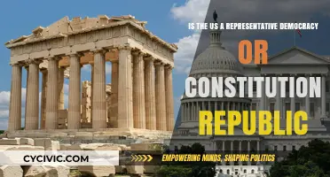 America's Democracy: Republic or Representative?