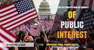 Public Interest: The US Constitution's Core