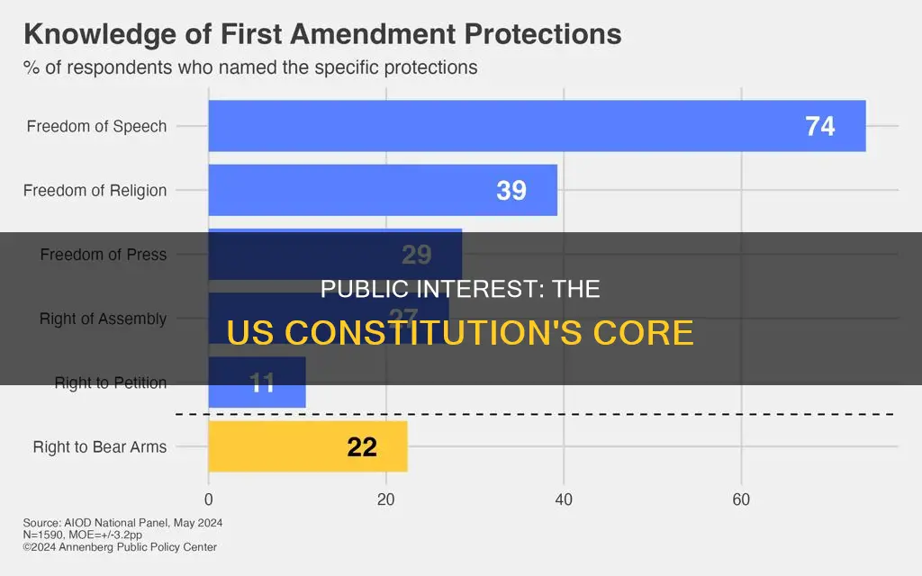 is the us constitution an example of public interest