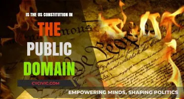 US Constitution: Public Domain or Not?