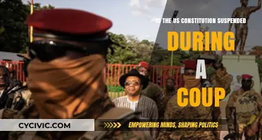 The Constitution: Coup and Suspension