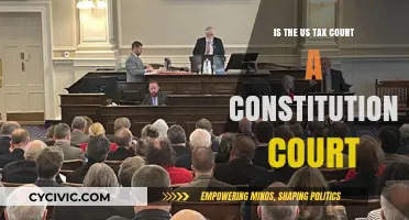 US Tax Court: Constitutional or Not?