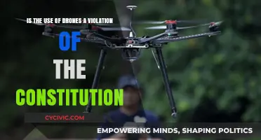 Drones: Constitutional Violation or Innovation?