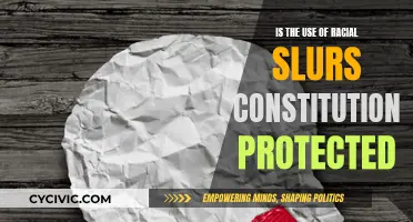 Racial Slurs: Free Speech or Hate Crime?