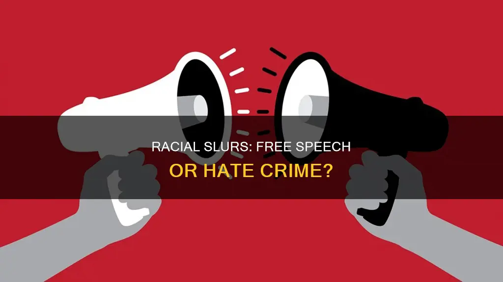 is the use of racial slurs constitutionally protected