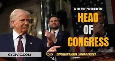 Who Really Leads Congress? The Vice President's Role Explored