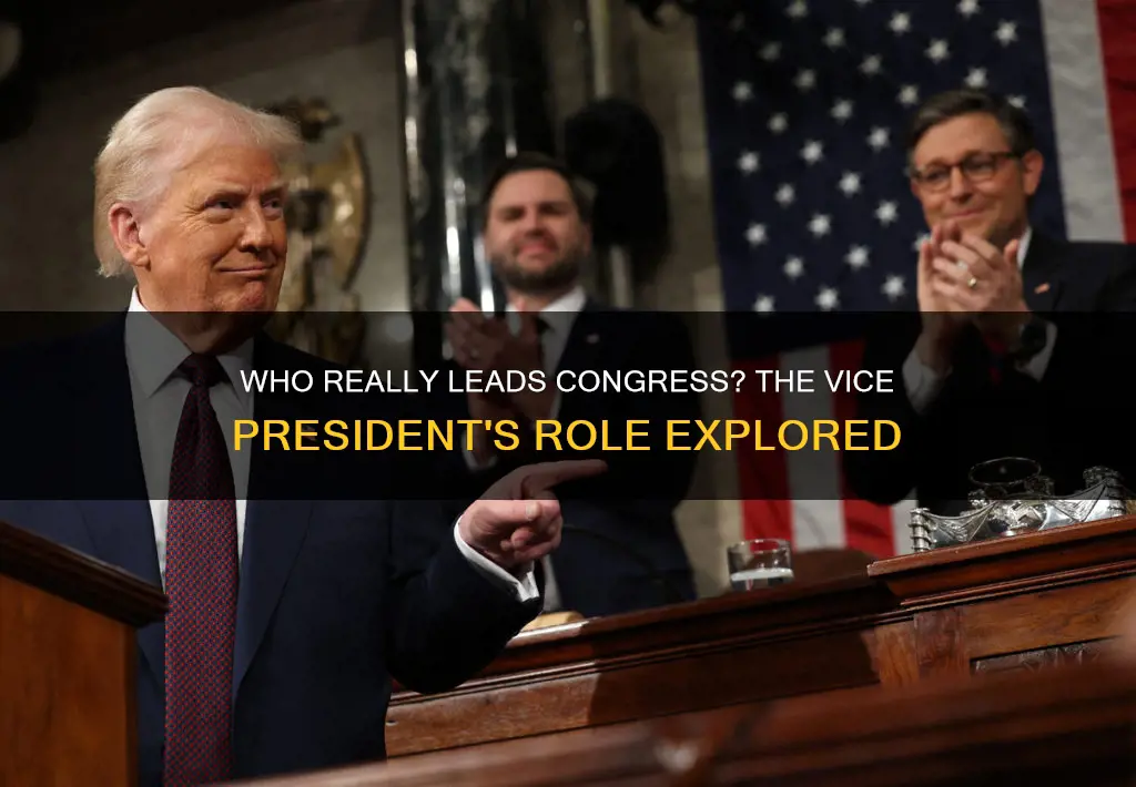 is the vice presdient the head of congress