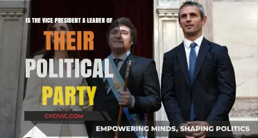 Is the Vice President a Key Party Leader? Exploring Roles and Influence