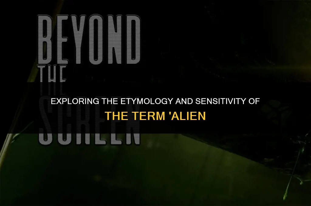 is the word alien politically correct