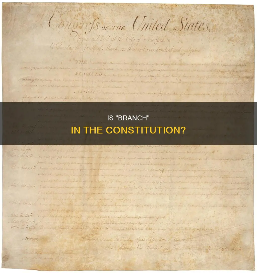 is the word branch found in the constitution
