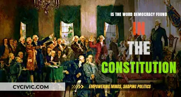 The Democracy Conundrum in the Constitution