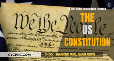 The US Constitution: Democracy's Place and Power