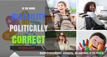 Navigating Language: The Evolution of 'Disability' in Political Correctness