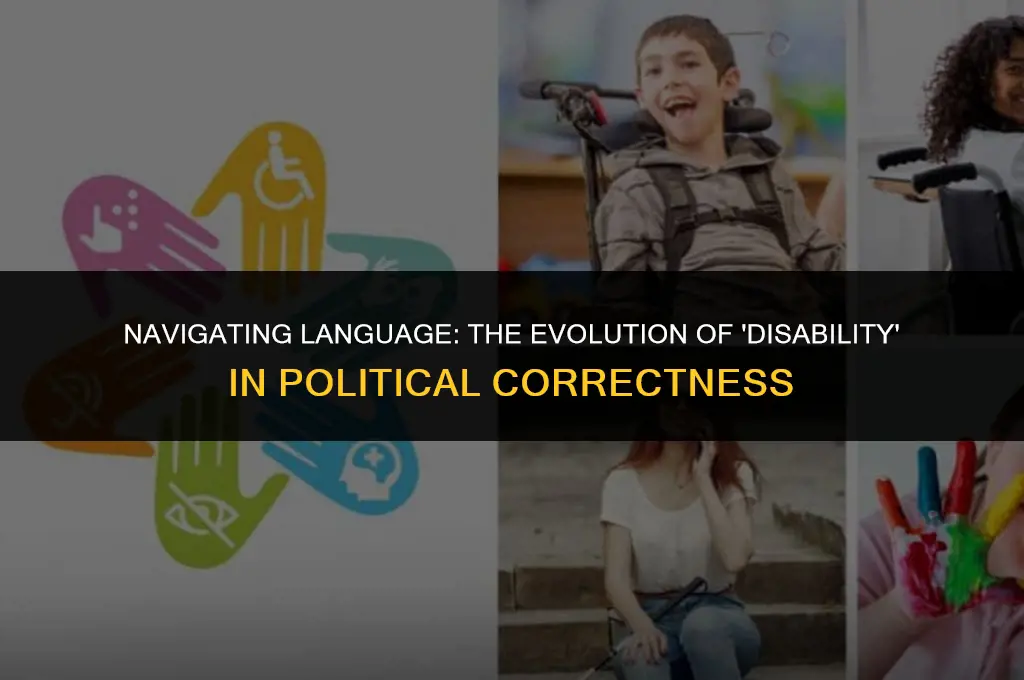 is the word disability politically correct