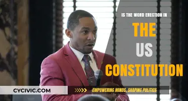 The US Constitution: An Erection of Sorts?