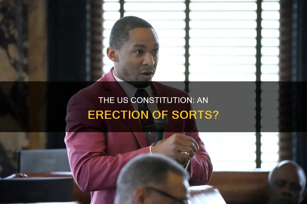 is the word erection in the us constitution