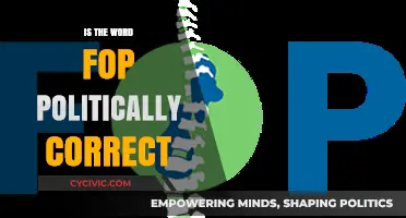 Exploring the Evolution of Language: Is 'Fop' Politically Correct?