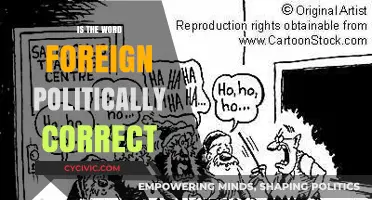 Navigating Language Sensitivity: Is 'Foreign' Politically Correct?