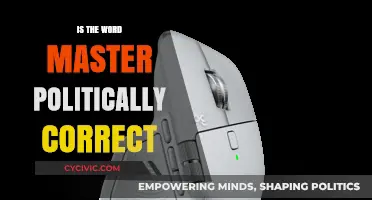 Evolving Language: The Politically Correct Debate Over 'Master