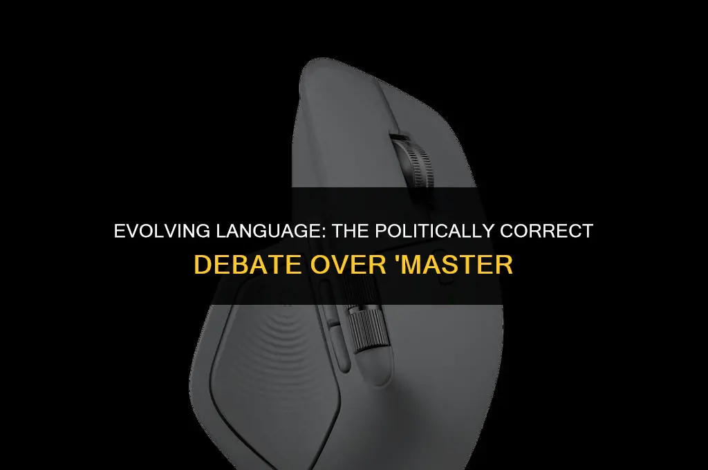 is the word master politically correct