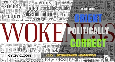Exploring the Political Correctness of the Term 'Orient