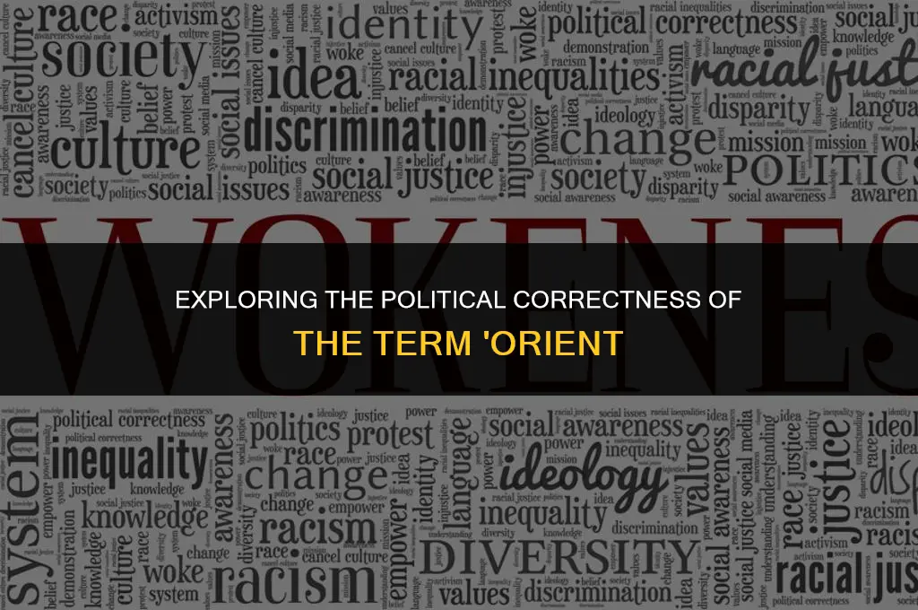 is the word orient politically correct