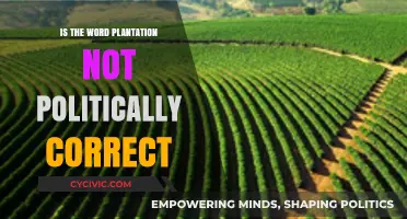 Reevaluating Language: The Politically Correct Debate Over 'Plantation