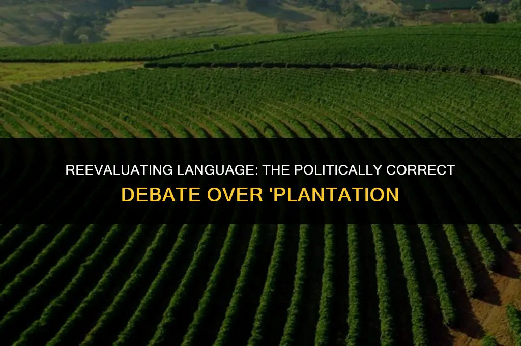 is the word plantation not politically correct