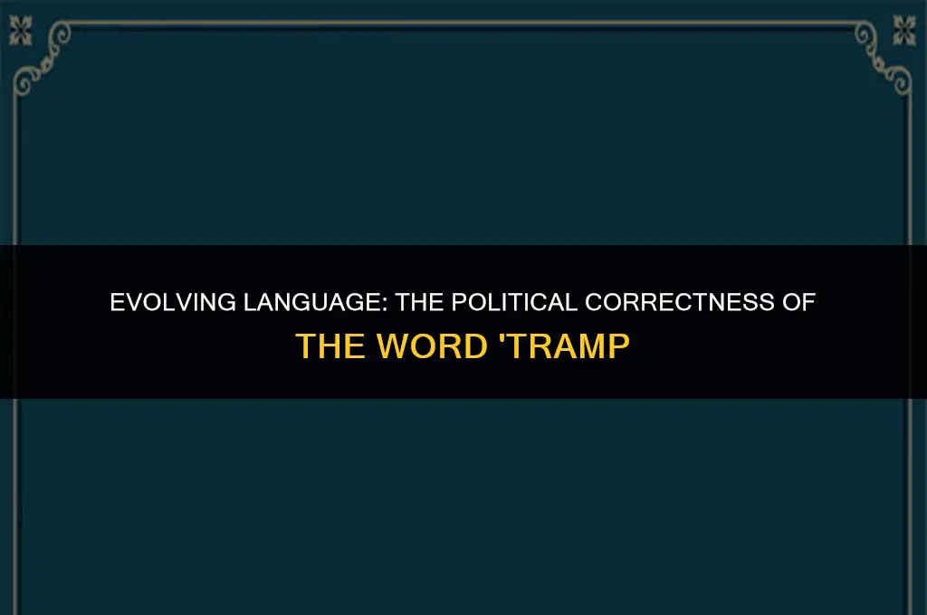is the word tramp politically correct