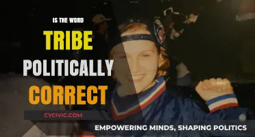 Exploring the Nuances: Is 'Tribe' a Politically Correct Term?