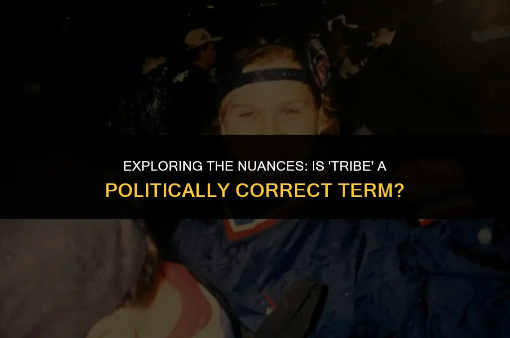 is the word tribe politically correct