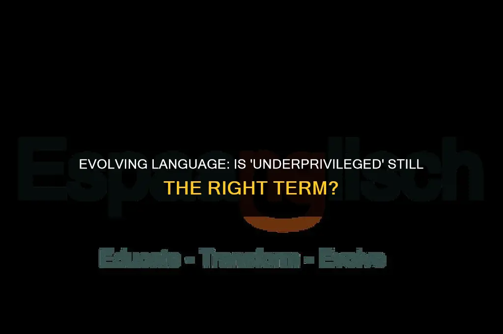 is the word underprivileged politically correct